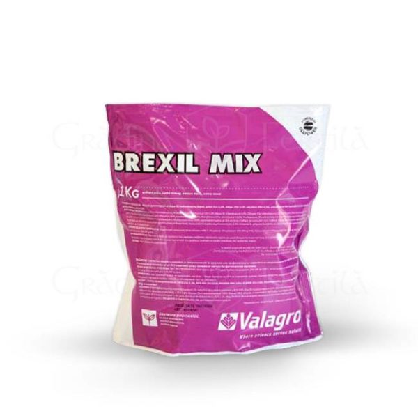 Brexil Mix - 1kg - Căpșuni EU
